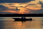 夢(mèng)中魚(yú)影，解讀夢(mèng)到魚(yú)的征兆，夢(mèng)中魚(yú)影，解讀夢(mèng)到魚(yú)的征兆的含義
