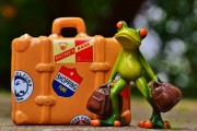 免費(fèi)游戲禮包，開(kāi)啟你的冒險(xiǎn)之旅
