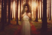 白狐之夢(mèng)，神秘與幻想的交織，白狐之夢(mèng)，神秘與幻想的交織