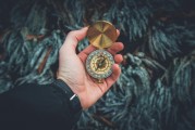 黃金之夢，探索夢境中的無盡財富，黃金之夢，探索夢境中的無盡財富之旅