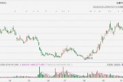 美股異動(dòng)丨極星汽車一度大跌超12%，前9個(gè)月總交付量同比減少22.8%