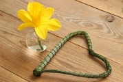 孕期夢(mèng)到蛇，解讀與解析，孕期夢(mèng)到蛇的解讀與解析