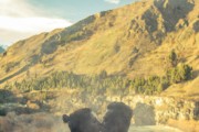 探索Mia免費游戲世界，一個全新的冒險旅程，進(jìn)入Mia的免費游戲世界，全新冒險旅程的探索開始！