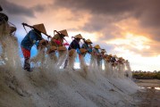 種地免費游戲，開啟你的農(nóng)業(yè)夢想之旅，種地大富翁，啟動你的農(nóng)田冒險之旅，免費享受農(nóng)業(yè)的樂趣