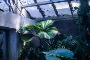 蘋果版的免費生存類游戲，探索、建造與生存，打造屬于你自己的蘋果版生存世界，一款豐富的探索與建造類游戲