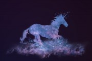 夢中的星光璀璨——與電影明星的奇妙邂逅，夢中的星光璀璨，與電影明星的奇妙邂逅