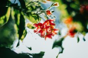 邢臺(tái)熱點(diǎn)新聞網(wǎng)，聚焦地方動(dòng)態(tài)，傳遞社會(huì)聲音，邢臺(tái)熱點(diǎn)聚焦，地方動(dòng)態(tài)與社會(huì)聲音傳遞平臺(tái)