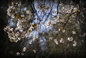 周公解夢之夢到刮大風(fēng)，周公解夢，夢到刮大風(fēng)的含義