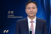 興業(yè)證券王斌：爭做“活躍資本市場、提振投資者信心”的排頭兵