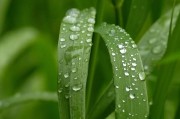 一則新聞引發(fā)的深思，我國成功研發(fā)新型環(huán)保材料，助力綠色發(fā)展，我國環(huán)保材料創(chuàng)新突破，新型研發(fā)助力綠色發(fā)展新篇章