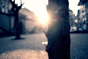 夢中的破碎之光——燈泡碎了的寓意與解讀，夢中的破碎之光，燈泡碎了的深層寓意與解讀