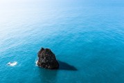 夢中重逢，舊時同事的回憶，夢中重逢，舊時同事的回憶之夢