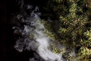 蒸汽朋克風(fēng)格的植物大戰(zhàn)僵尸，植物刺客，一款無需付費的游戲，蒸汽朋克植物戰(zhàn)爭僵尸，免費游戲帶你體驗?zāi)┤丈? title=