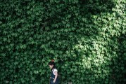 綠色未來，共筑美好—盤點近期環(huán)保新聞熱點，綠色征程，共繪未來篇章——近期環(huán)保新聞聚焦