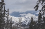 夢中的冒險之旅，夢中的冒險之旅之旅，奇幻探索的夢境之旅