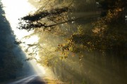 夜色游戲免費(fèi)？這是一個引人入勝的話題，它涉及了虛擬現(xiàn)實(shí)游戲、電子競技、人工智能等多個領(lǐng)域。夜色游戲自由雖然看起來非常吸引人，但實(shí)際上，這個詞語所蘊(yùn)含的含義卻有所不同。，虛實(shí)之間，夜色游戲的雙面性探討