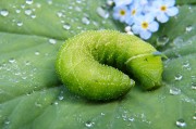 綠色先鋒，守護(hù)碧水藍(lán)天—環(huán)保新聞聚焦，碧水藍(lán)天守護(hù)者，綠色先鋒環(huán)保紀(jì)實(shí)