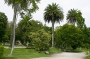 官方網(wǎng)站花架搭建指南，打造視覺盛宴的綠色空間，打造綠色視覺盛宴，官方網(wǎng)站花架搭建全攻略，官方網(wǎng)站綠色花架搭建全攻略，打造視覺盛宴的綠意空間