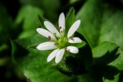 夢(mèng)到親人離世，心靈的觸動(dòng)與解讀，夢(mèng)到親人離世，心靈的觸動(dòng)與解讀