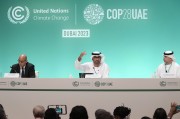 COP29氣候大會臨近，歐美金融高管參會熱情降溫