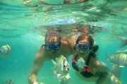 夢(mèng)到逮魚(yú)的奇妙之旅，夢(mèng)中的逮魚(yú)奇妙之旅