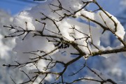 夢中大雪紛飛，厚雪之下的世界，夢中大雪紛飛，厚雪之下的世界探索