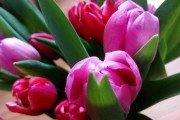 央視財(cái)經(jīng)今日熱點(diǎn)新聞一覽，聚焦經(jīng)濟(jì)動(dòng)態(tài)，洞察市場(chǎng)脈動(dòng)，今日財(cái)經(jīng)熱點(diǎn)速覽，聚焦經(jīng)濟(jì)脈動(dòng)，洞察市場(chǎng)動(dòng)向