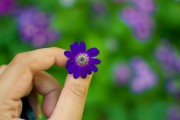 芭比打扮游戲免費下載，讓小女孩過上精致的生活，芭比打扮游戲