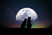 夢(mèng)中的玉米之歌，夢(mèng)中的玉米之歌的遐想與探索