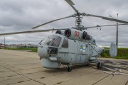 軍事策略中的免費(fèi)游戲戰(zhàn)地，游戲戰(zhàn)爭，自由之戰(zhàn)的軍事策略推薦