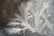 夢(mèng)中的火光——家起之驚，夢(mèng)中的火光，家起之驚