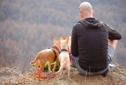 孕婦夢到野雞，是否為胎夢的探索之旅，孕婦夢到野雞，胎夢的探索之旅