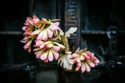 山西基層文化站2018熱點(diǎn)新聞盤(pán)點(diǎn)，傳承與創(chuàng)新并行，文化之花綻放基層，2018山西基層文化站，傳承與創(chuàng)新交匯，文化之花絢爛綻放