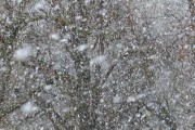 雪舞夢(mèng)境——我的夢(mèng)中雪景，雪舞夢(mèng)境，我的夢(mèng)中雪景的詩意之旅