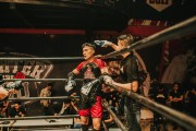 格斗游戲的狂熱與挑戰(zhàn)——探尋免費版的力量，探索付費格斗游戲，免費版本的力量