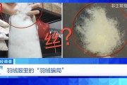 “羽絨騙局”曝光：兒童羽絨服也造假，檢測報告成本一兩元錢