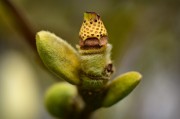 植物僵尸大逃殺——一款無(wú)限可能的植物僵尸生存射擊游戲，植物僵尸大逃殺，刺激的僵尸射擊生存挑戰(zhàn)