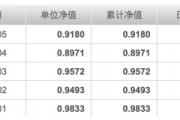 封閉期結束凈值接連重挫，建倉節(jié)奏成謎，申萬菱信行業(yè)精選混合基金陷“過山車式”開局