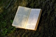 夢到書，一場心靈與知識的奇妙旅程，夢中的書，心靈與知識的奇妙旅程