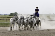 馬場俱樂部注冊指南，輕松開啟您的馬術(shù)之旅，輕松入局馬術(shù)世界，馬場俱樂部注冊全攻略