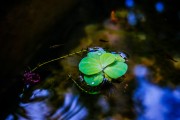 夢(mèng)到小孩睡覺，心靈的寧?kù)o與成長(zhǎng)的啟示，夢(mèng)境中的小孩安睡，心靈的寧?kù)o與成長(zhǎng)的啟示