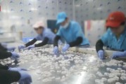 查封！關(guān)停！各地多部門連夜查處3·15曝光問題