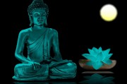 夢魘之影，夢到姐姐去世的內(nèi)心掙扎，夢魘之影，姐姐離世的心靈掙扎