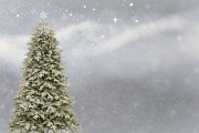 桌面圣誕樹插件網(wǎng)站，點亮冬日溫馨，增添節(jié)日氣氛