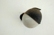 解讀夢(mèng)境中的鱉，象征意義與心理暗示