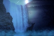 夢(mèng)境中的獅子與老虎，一場(chǎng)心靈的覺(jué)醒之旅，夢(mèng)境中的獅子與老虎，心靈的覺(jué)醒之旅