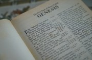 輕松入門，教你如何在論壇注冊(cè)賬號(hào)，論壇新手指南，輕松注冊(cè)賬號(hào)全攻略