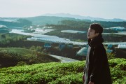 夢中邂逅，情愫難抑——夢到喜歡的男人的心理解析與感悟，夢中邂逅，情感難抑，夢到喜歡的男人的心理解析與感悟