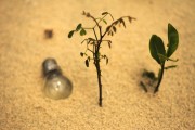 輕盈的夏日午后——輕松享受薄荷游戲免費，輕松享受，夏季薄荷游戲——只用一包薄荷