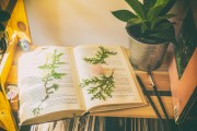 免費(fèi)游戲的春天，11個(gè)值得推薦的游戲，最新11款免費(fèi)游戲推薦，春天來臨的免費(fèi)游戲狂歡盛宴
